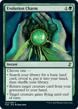 Evolution Charm [TSR - 202]